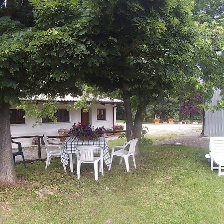 Bed and Breakfast Gavi/Alice Open Space Екстер'єр фото