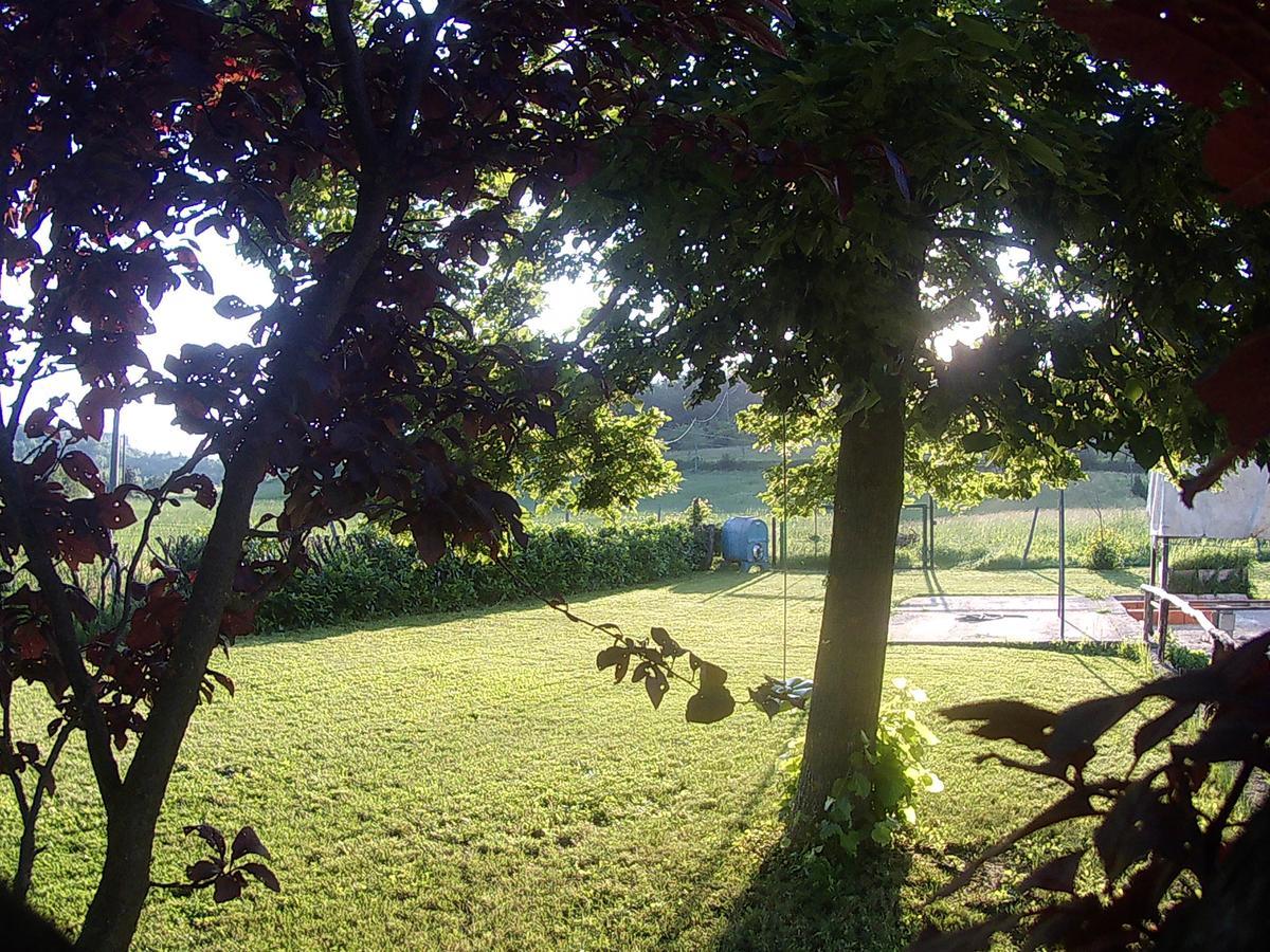 Bed and Breakfast Gavi/Alice Open Space Екстер'єр фото