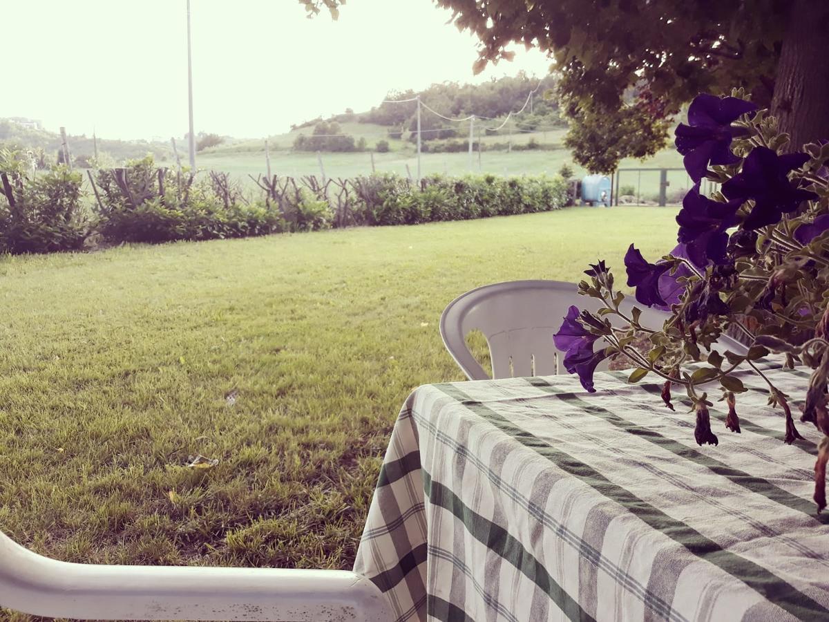Bed and Breakfast Gavi/Alice Open Space Екстер'єр фото
